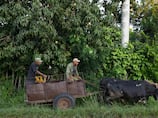 Why diesel is the most vulnerable fuel when faced by geopolitical shocks