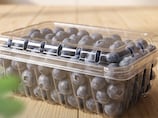Markets in UAE free from E.coli contamination linked to berries in US