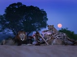 What is noctourism? Destinations that come to life at night, from bioluminescent seas to stargazing retreats