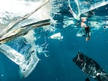 The truth about microplastics: Cause for concern or misunderstood science?