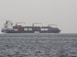Saudi Arabia proposes 43-nation 'maritime defence coalition' in Red Sea
