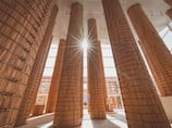 Date palms from UAE's Expo pavilion to help rebuilding efforts in earthquake-hit Japanese city