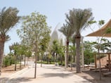 Zayed National Museum’s garden traces the UAE’s roots through the ghaf tree
