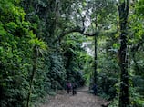 Can Costa Rica's cloud forests cope with climate change?