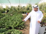 Meet the Emirati farmer producing organic fertiliser to reduce pollution