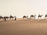 Tracing cultural roots: 100 young people to embark on 1,000km camel trek into the UAE's past