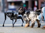 Gitex Europe: Could cyberdog developed in Abu Dhabi help support elderly social care?