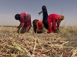 Sudan's Dagalo orders creation of 'new national army' comprising paramilitary and rebel groups