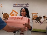 Dubai’s new animal shelter draws crowds eager to adopt stray cats