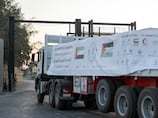 Two UAE convoys carrying 260 tonnes of aid arrive in Gaza