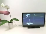'Hacking' doorknobs and plants: Is physical AI the future of technology?