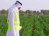 Gates Foundation praises UAE's AI approach and agricultural tech ambition