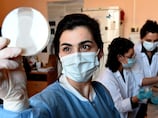 Resistance to antibiotics risks blunting power of chemotherapy against cancer